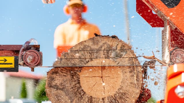 Thin-Kerf Wood-Mizer Blades
